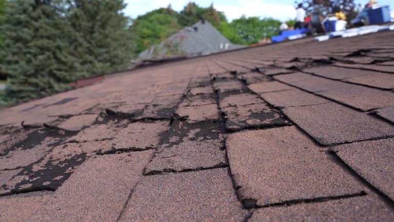 Best Green or Eco-Friendly Roofing Solutions  in Mulberry, OH