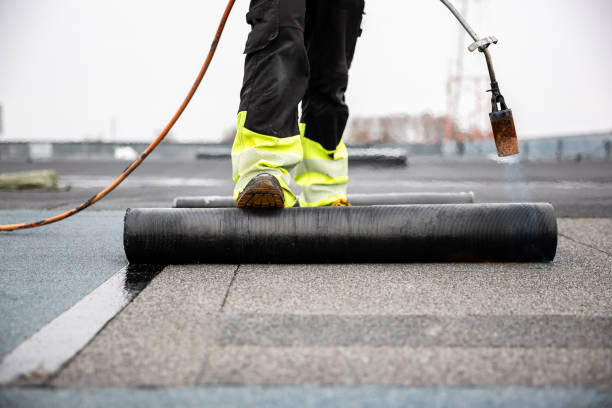 Best Roof Maintenance and Cleaning  in Mulberry, OH