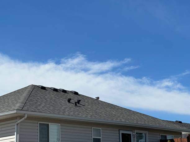 Best Gutter Installation and Repair  in Mulberry, OH